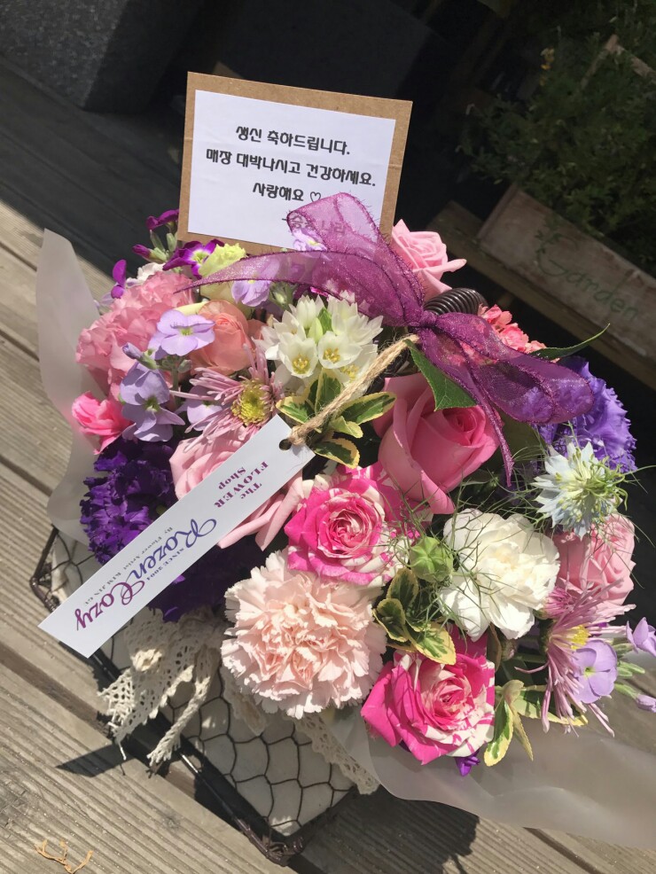 로젠코지 이미지