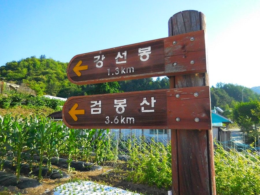 남일닭갈비 이미지