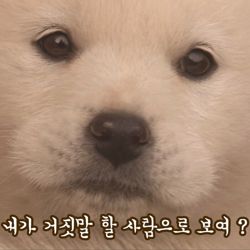 메종41 이미지