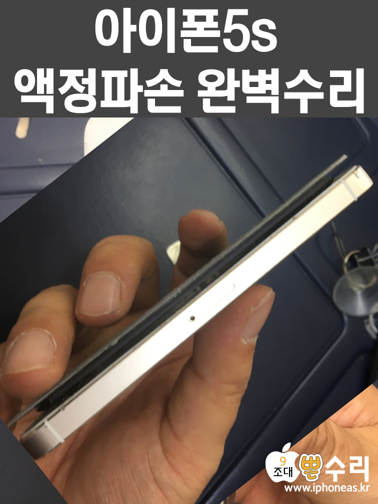 뽄수리 이미지