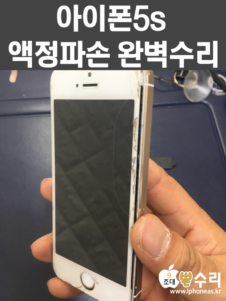 뽄수리 이미지