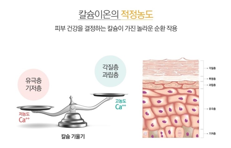 꽃을든남자Ⅱ 이미지
