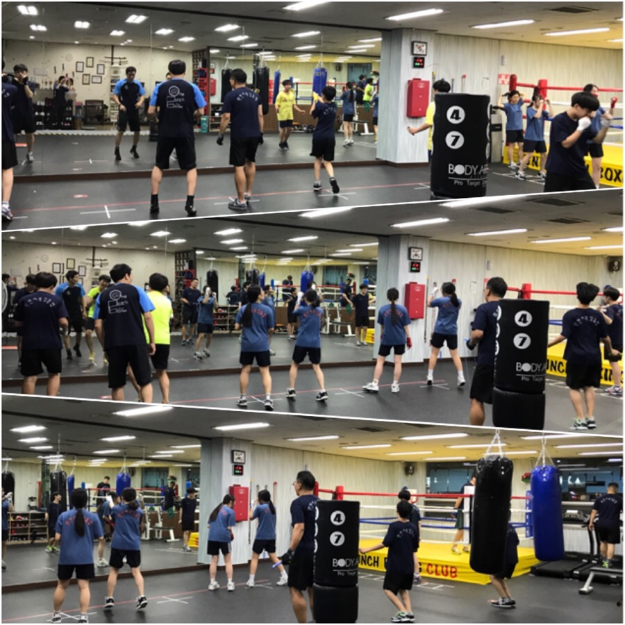 원펀치복싱클럽 이미지