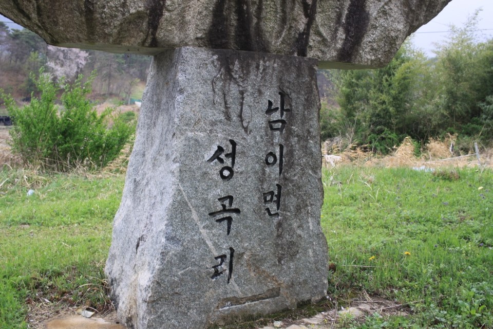 중앙인삼 이미지