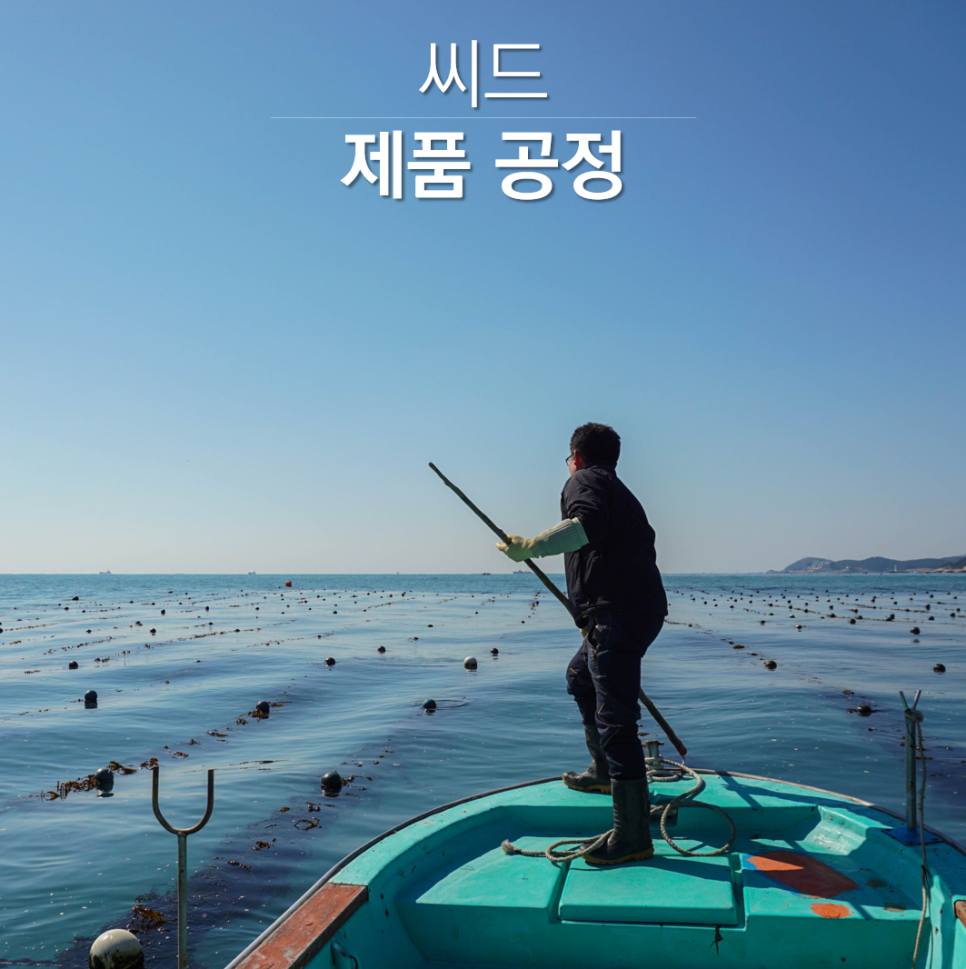 씨드(SEA.D) 이미지