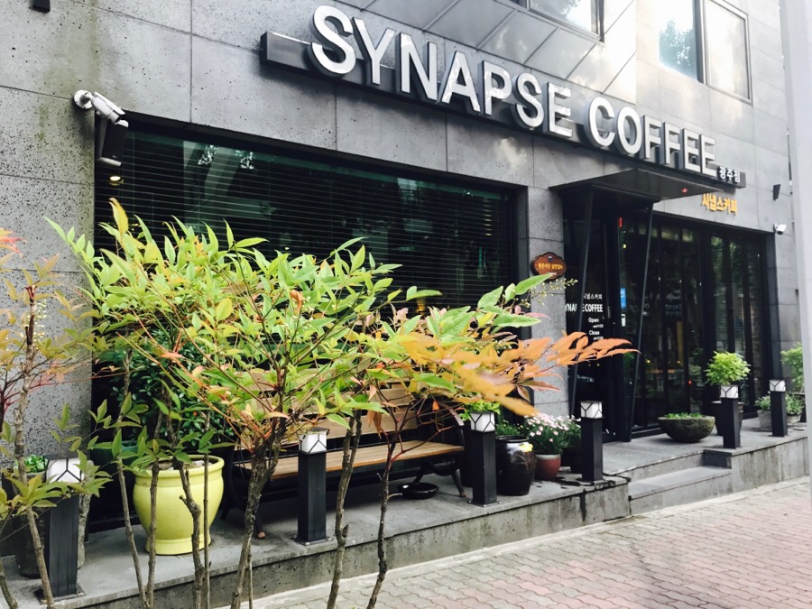 시냅스커피 이미지