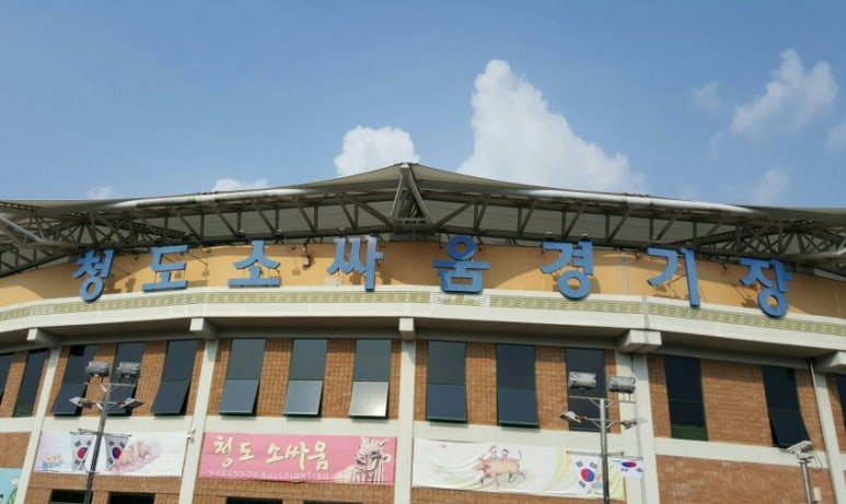 비비큐청도 이미지