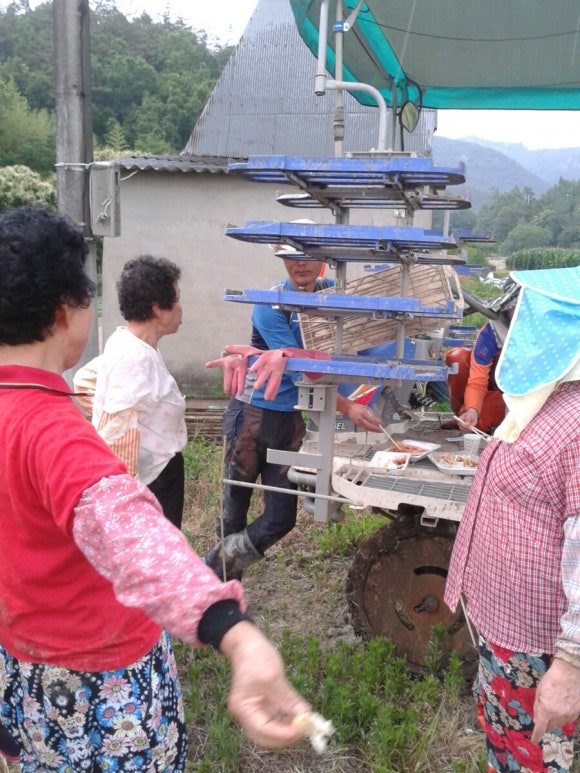 춘양반점 이미지