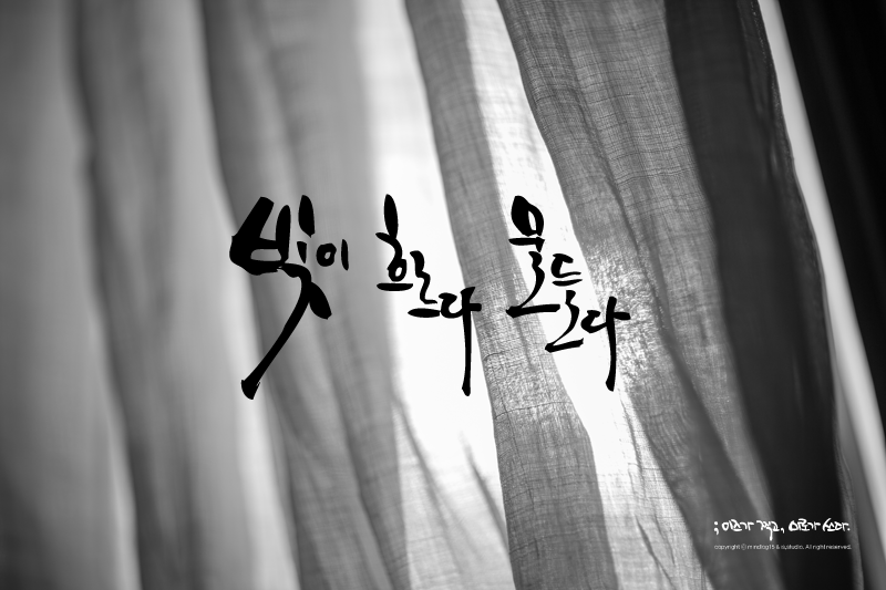 빛이물들다 이미지