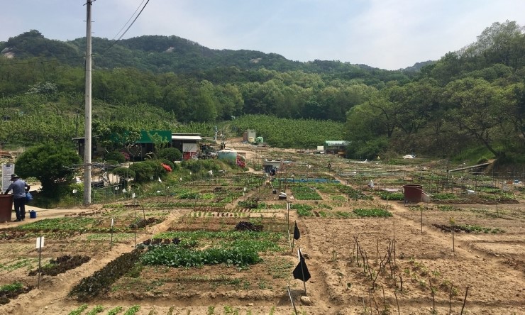 해충박사 이미지