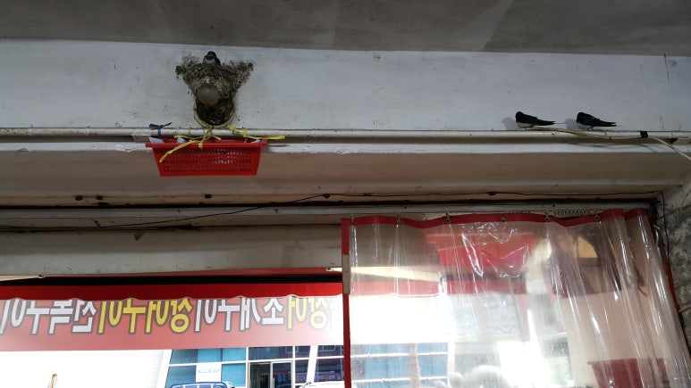 흥부상회 이미지