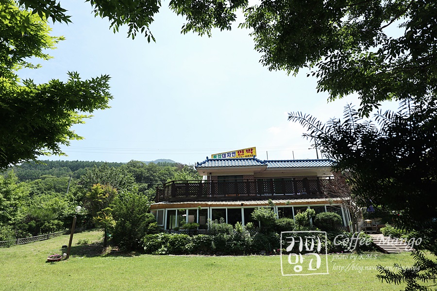 대자연레저본부 이미지