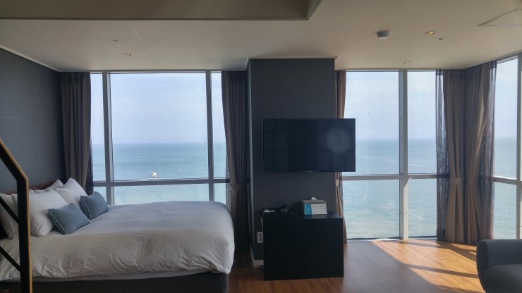 마레누비움 이미지