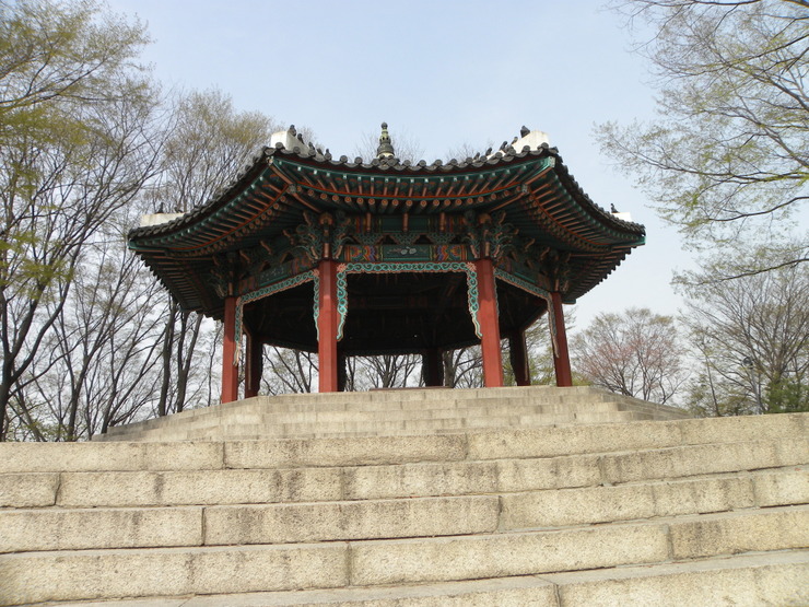 차돌박힌쭈꾸미 이미지