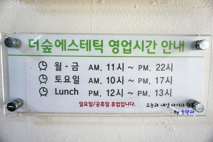 더숲 에스테틱 이미지
