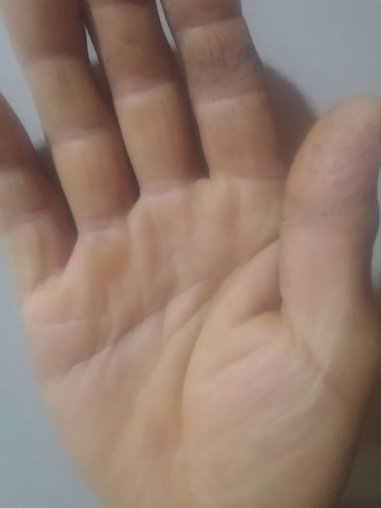 두메골농원 이미지