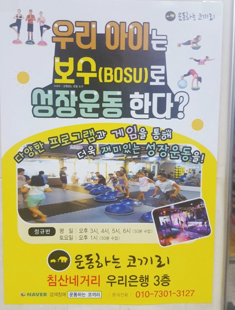 운동하는코끼리 이미지
