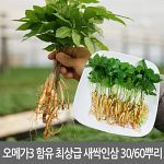 오메가3 함유 최상급 새싹인삼 새싹삼 30 60뿌리