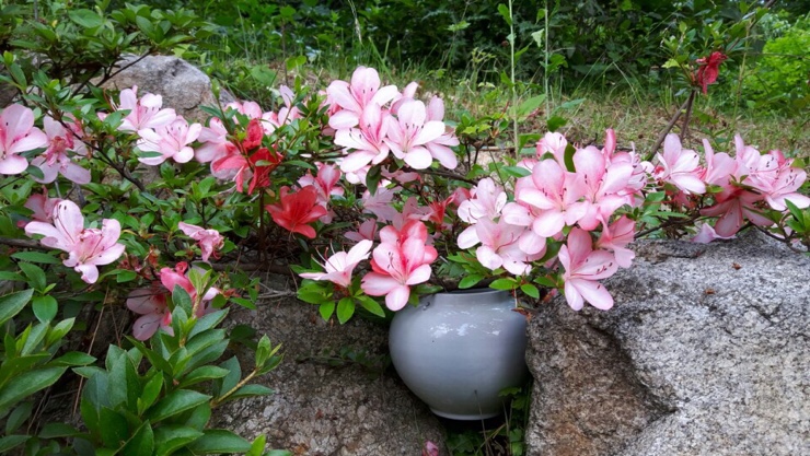 축령산휴림 이미지