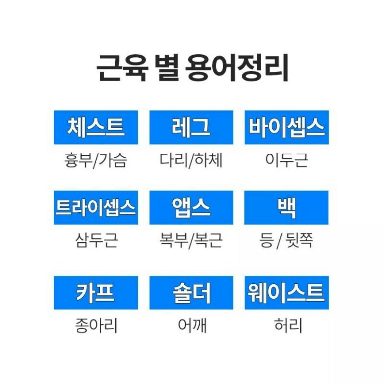 구미피티 이미지