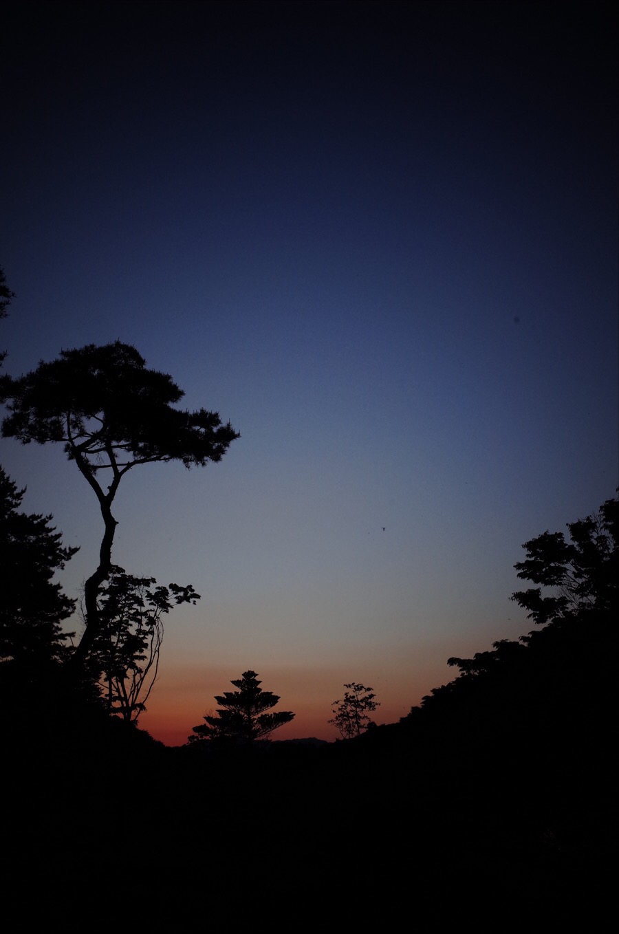 주막거리캠프 이미지
