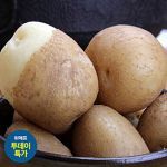 [투데이특가] 노지 감자 10kg 대박가