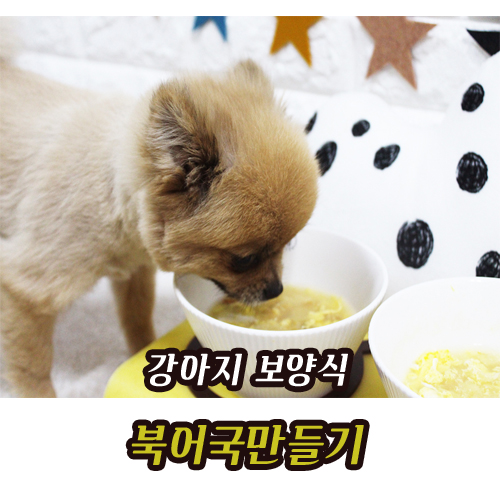 네꼬망 이미지