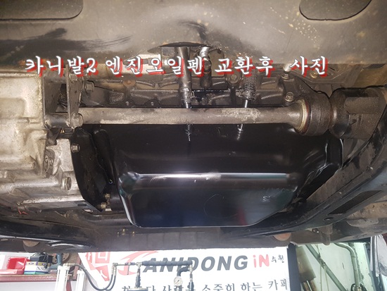 수리브라운 이미지