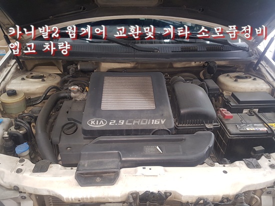 수리브라운 이미지