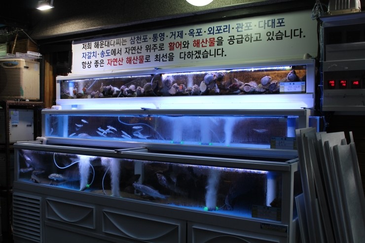 옥포활어횟집 이미지