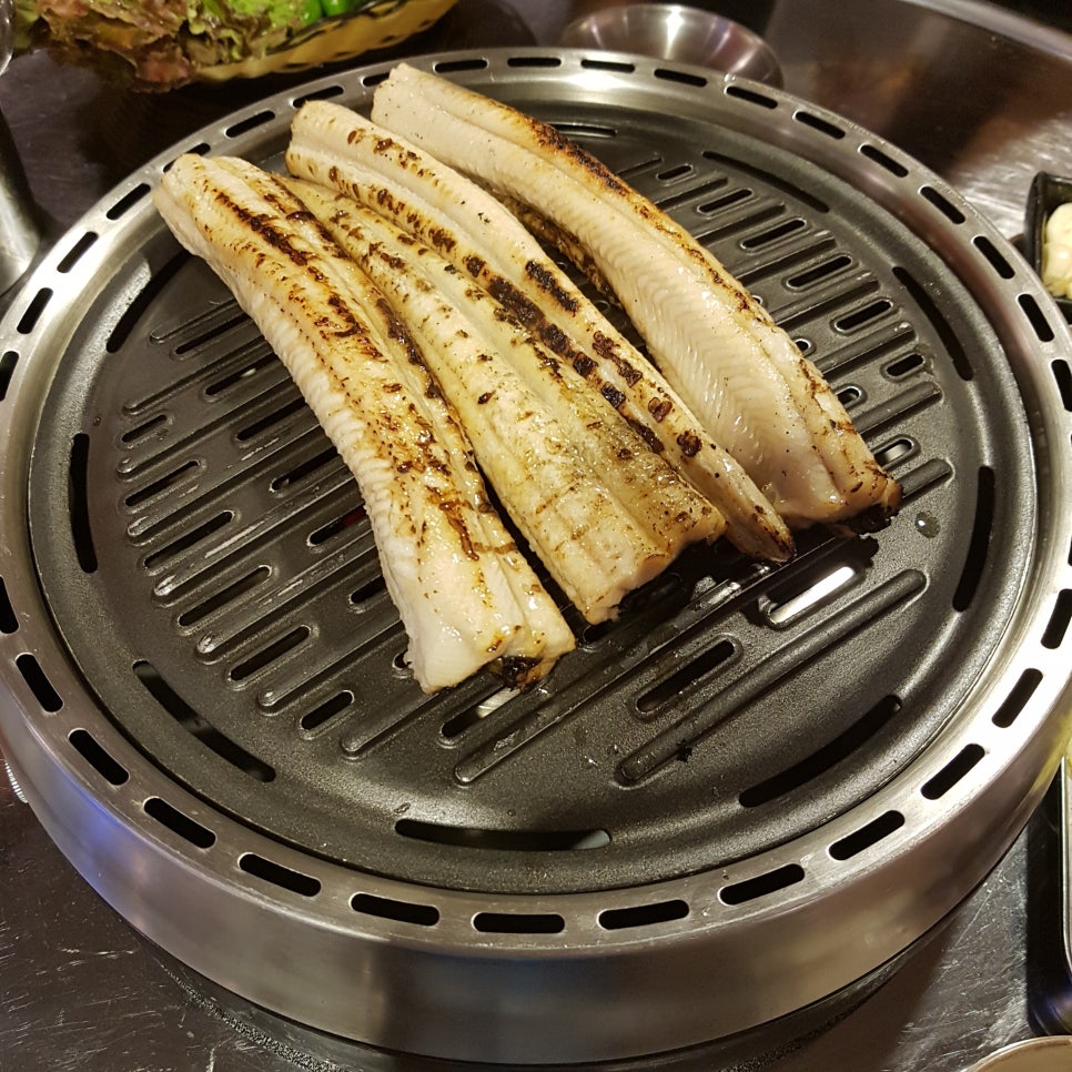 구구장어 이미지