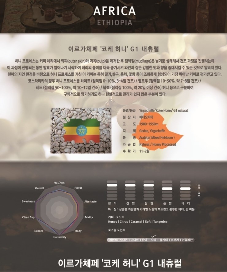 코케 이미지