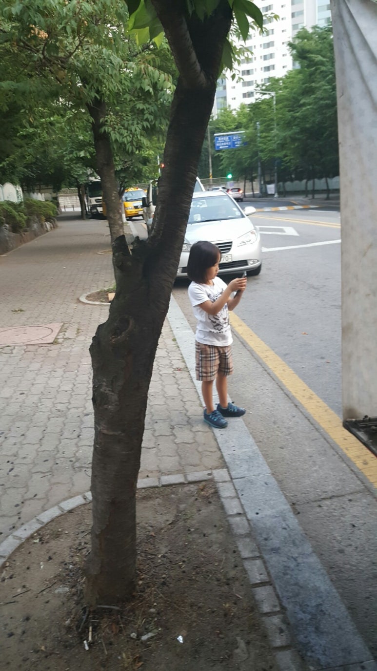 꼬치스타 이미지