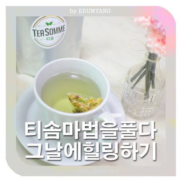 티솜 이미지