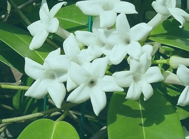 우리약업사 이미지