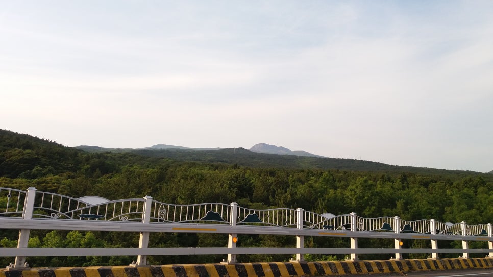영남동 이미지