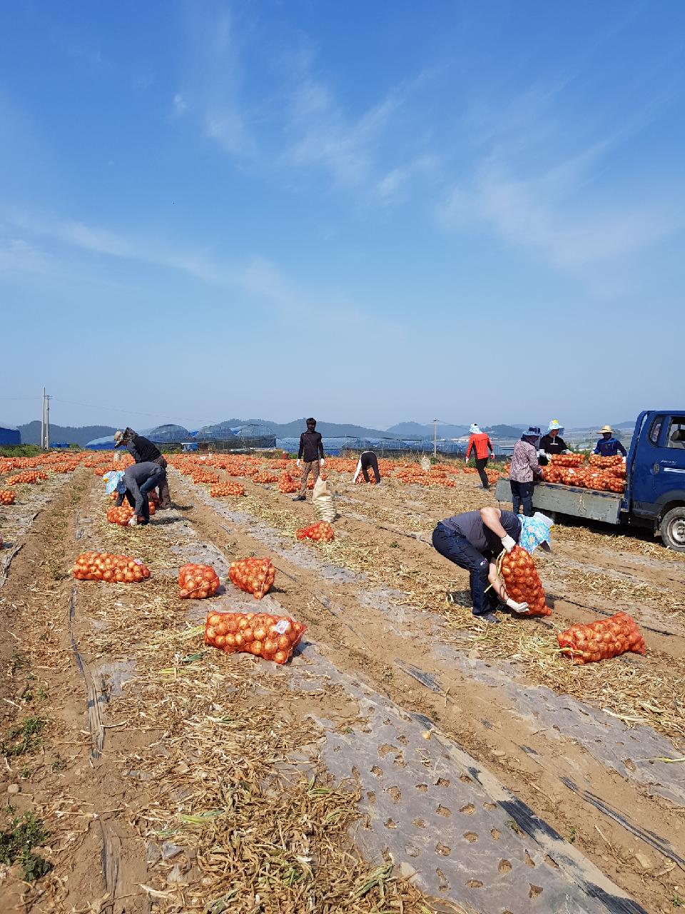 산림과환경 이미지