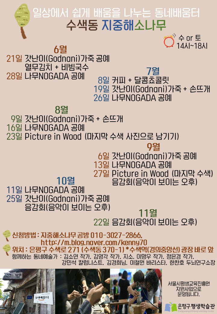 지중해소나무 이미지
