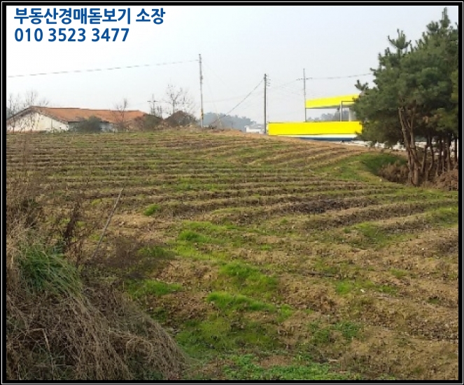 정읍 양덕교차로 이미지