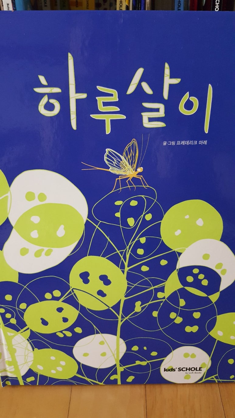 에콜로지아 이미지