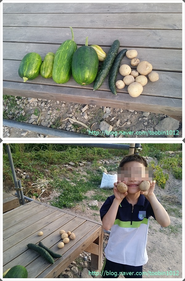두명마을자연체험촌 이미지