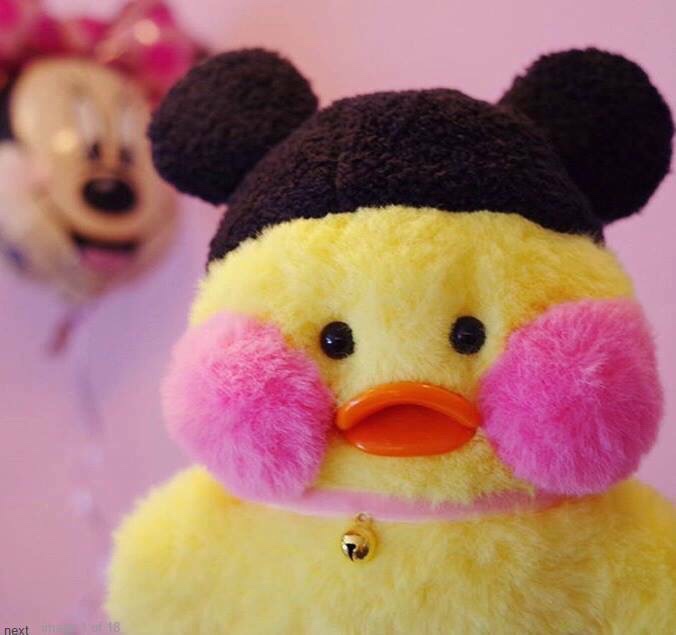 양파이 이미지