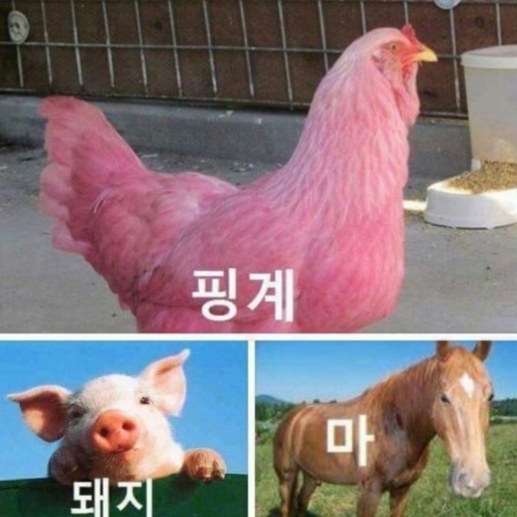 소소하루 이미지