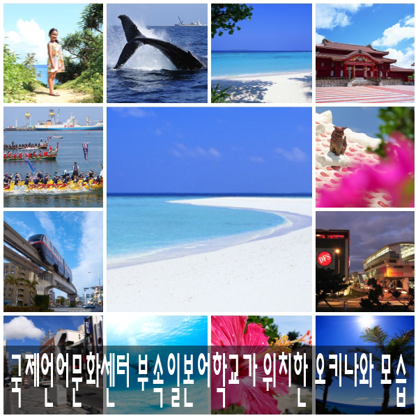 국제문화센터 이미지