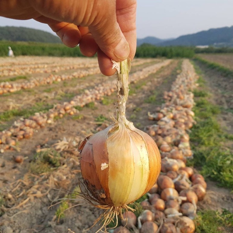 마실마트 이미지