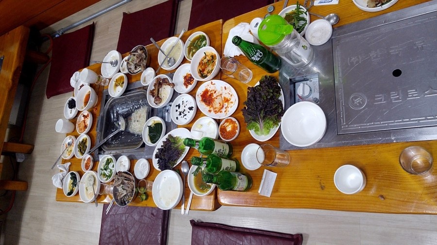 신오리박사 이미지