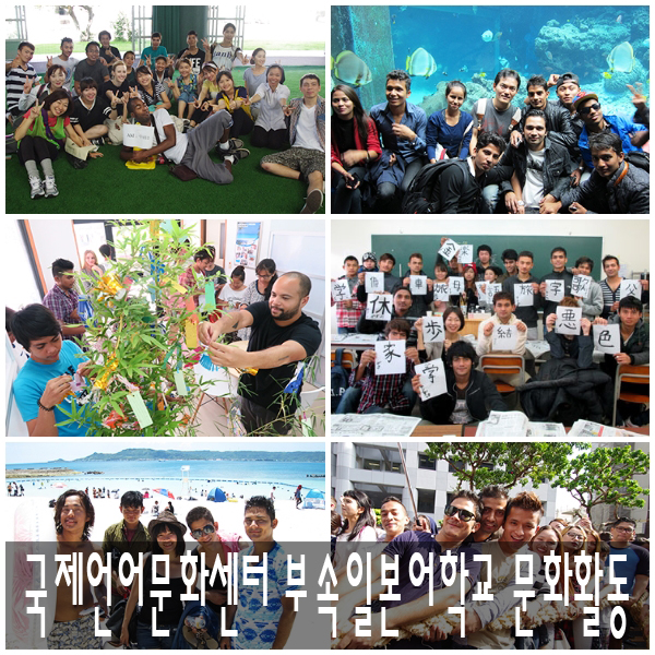 국제문화센터 이미지