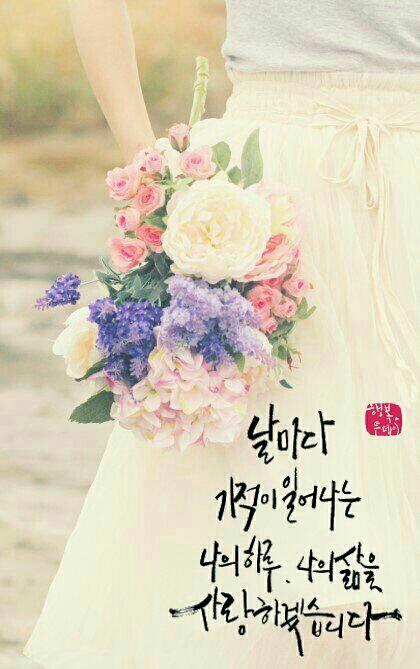 한케어 이미지