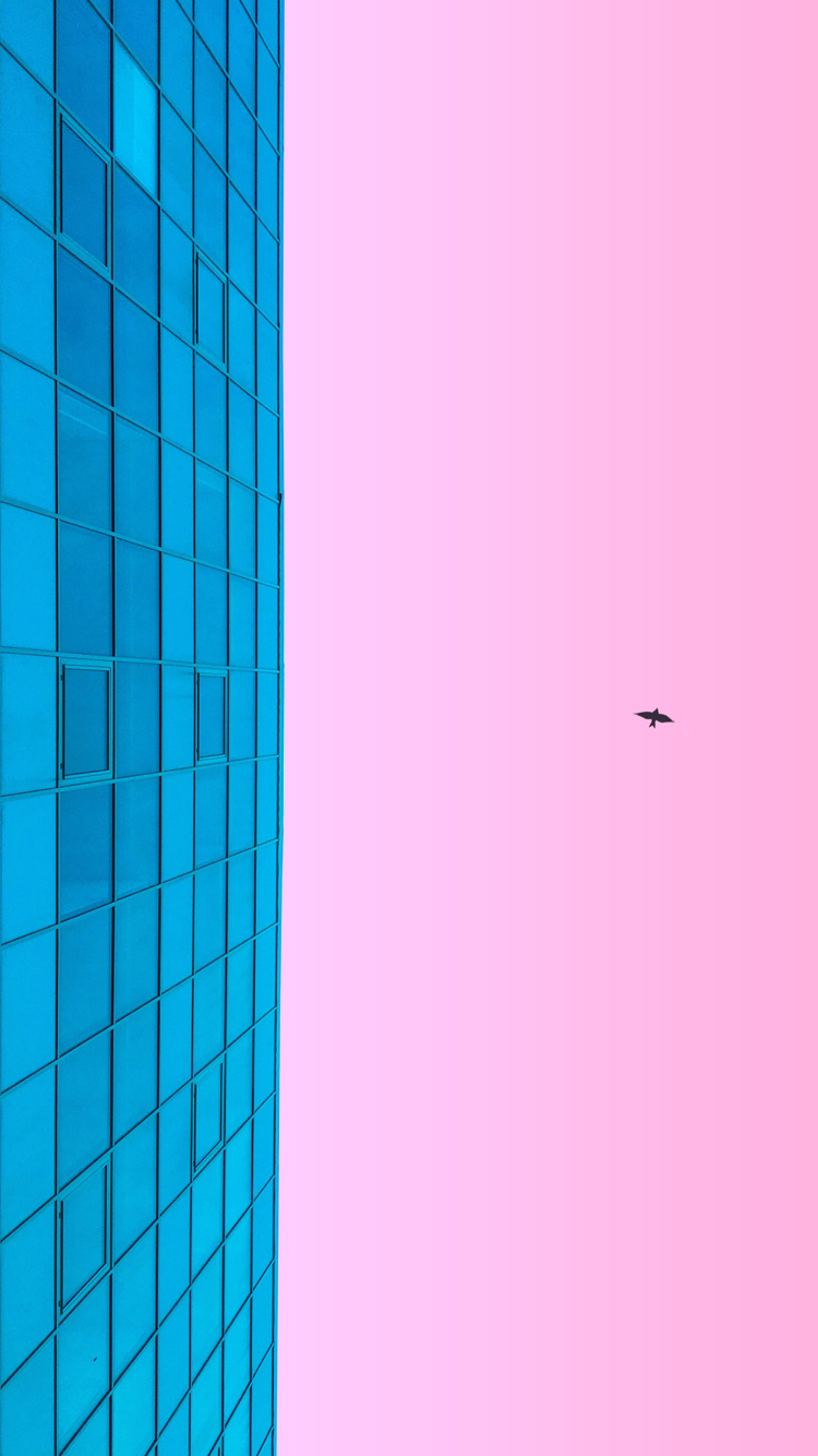 핑크핑크해 이미지
