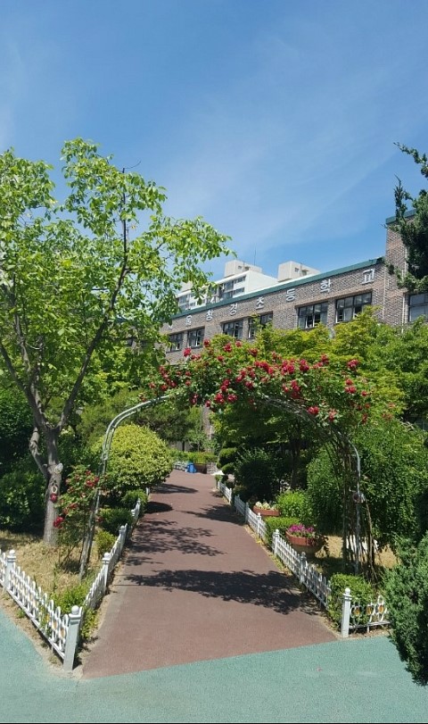 서울창경초등학교 이미지